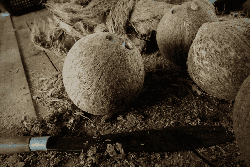 From Copra to Coconut Oil: Inside the Extraction Process You Need to Know