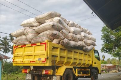 SnapInsta.to_491895988_18327422680163316_8157835448655664183_n