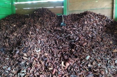 SnapInsta.to_491896000_18327345739163316_5826380364034990922_n