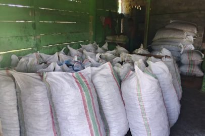 SnapInsta.to_491896171_18327440389163316_5121164362974055866_n