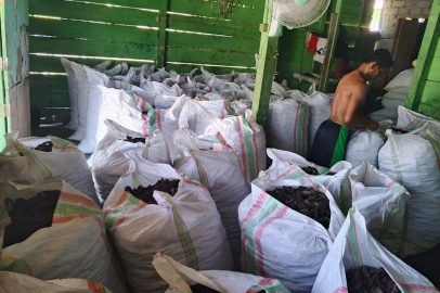 SnapInsta.to_491899261_18327440377163316_4830341246386699866_n