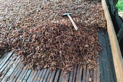 SnapInsta.to_491901168_18327345721163316_192298889101799373_n